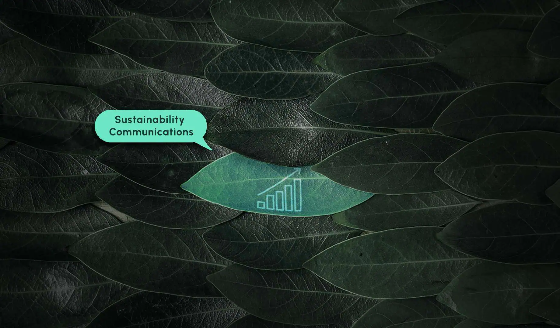Sustainability-communications