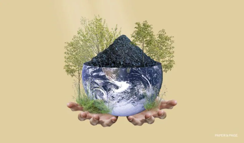 Biochar Earth covering in biochar and trees cover photo