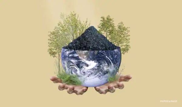 Earth covering in biochar and trees cover photo