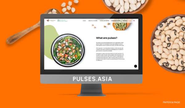 U.S. Pulses website development cover photo