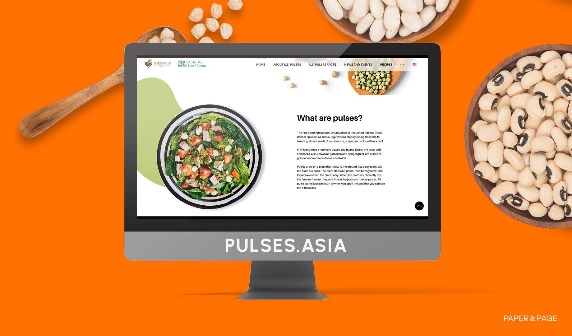 U.S. Pulses website development cover photo