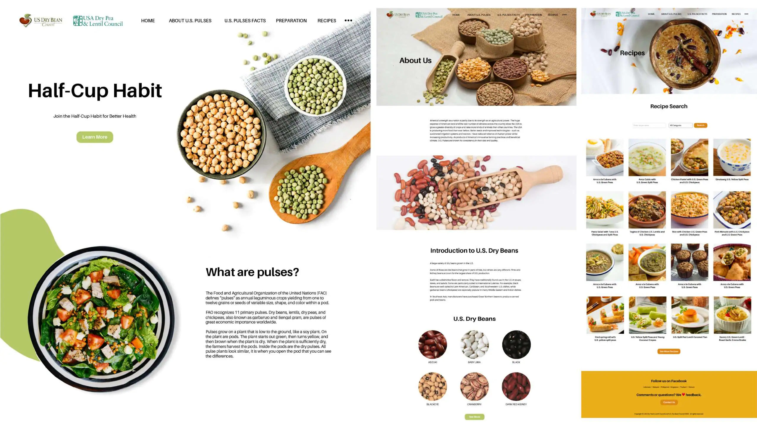 The new lively and fun theme of the U.S. Pulses website