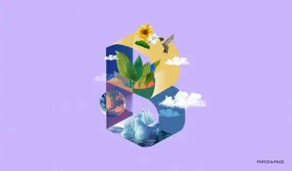 B Corp Agencies cover photo